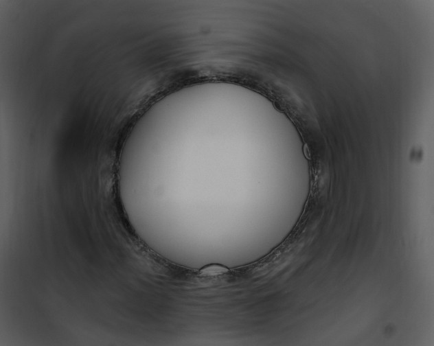 X0000101181012200807181443