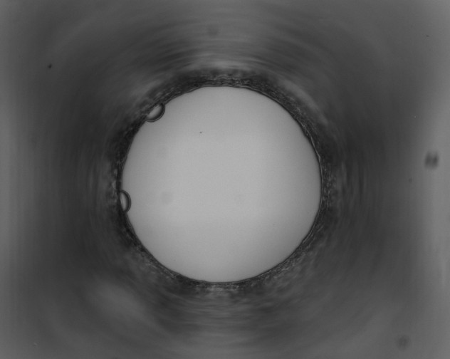 X0000101181013200807181443