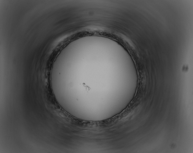 X0000101181016200807181443