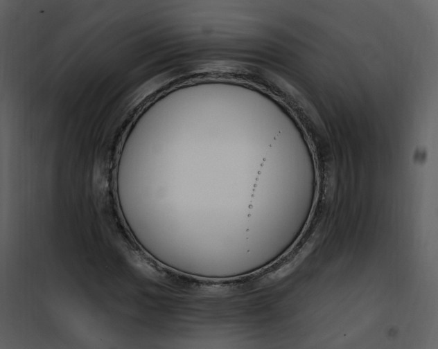 X0000101181017200807181443