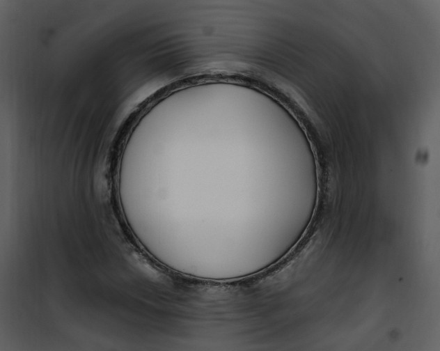 X0000101181018200807181443