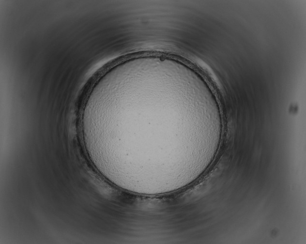 X0000101181019200807181443