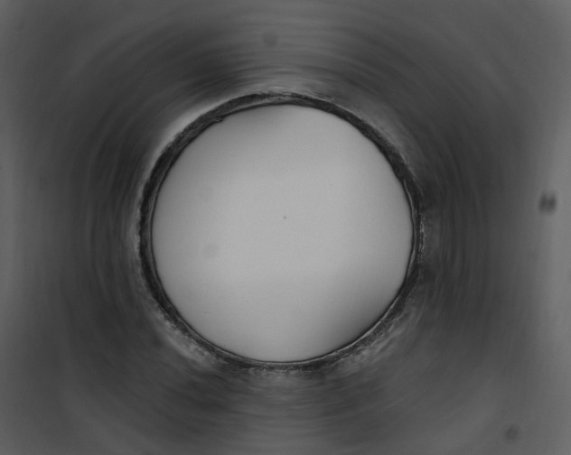 X0000101181020200807181443