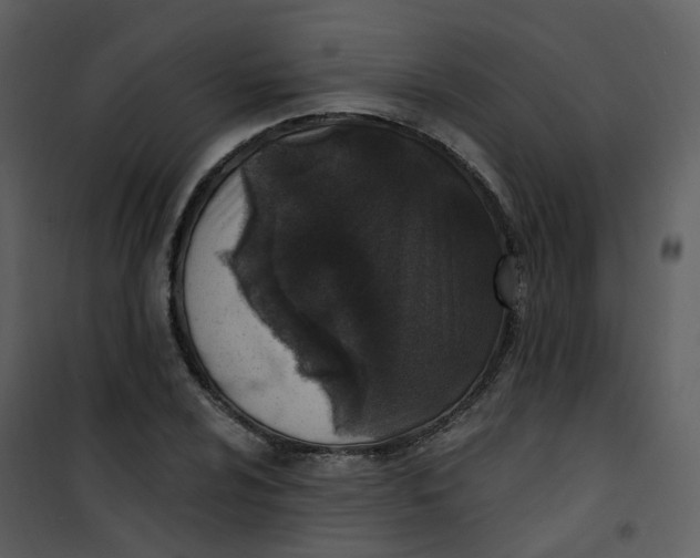 X0000101181024200807181443