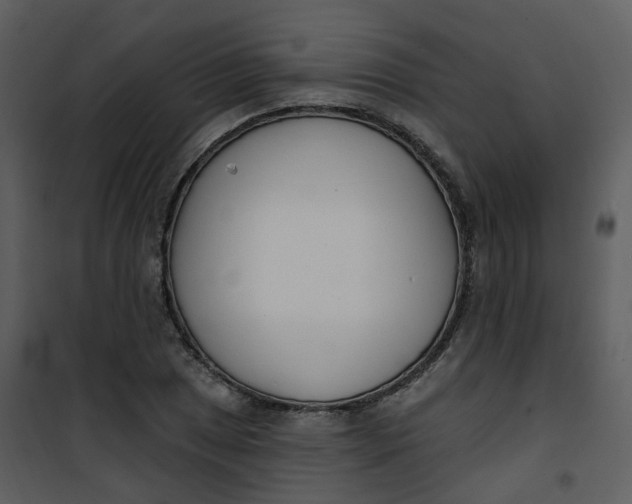 X0000101181025200807181443