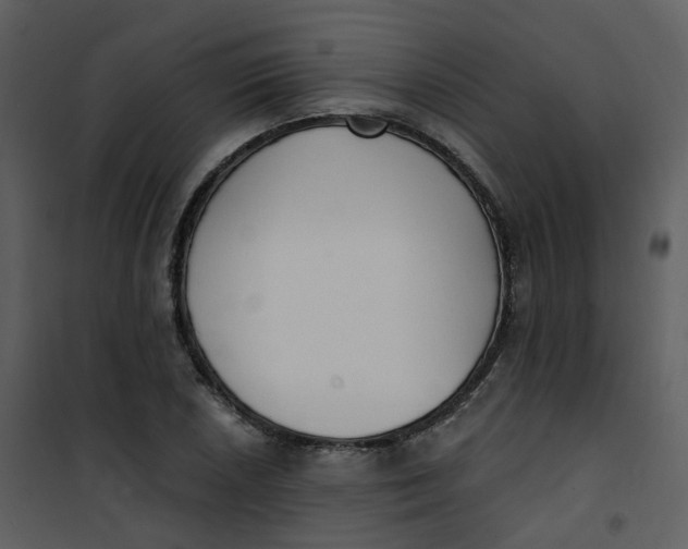 X0000101181026200807181443