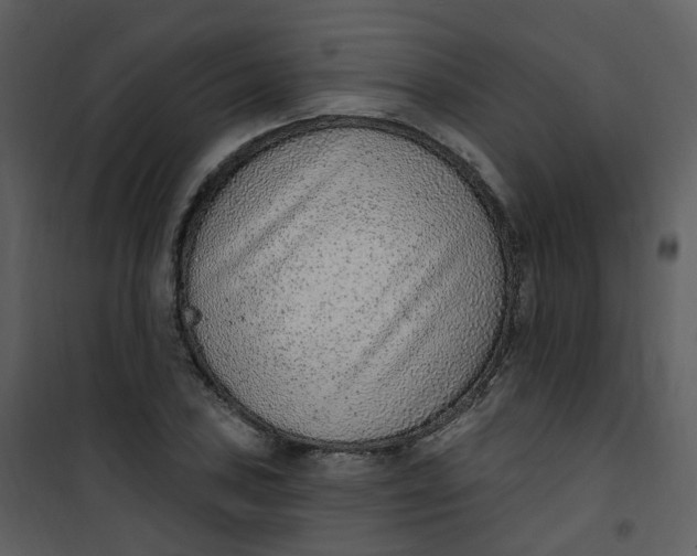 X0000101181027200807181443