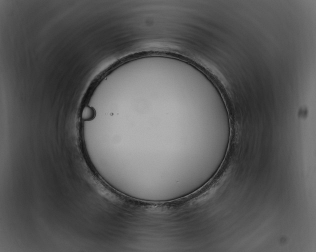 X0000101181029200807181443