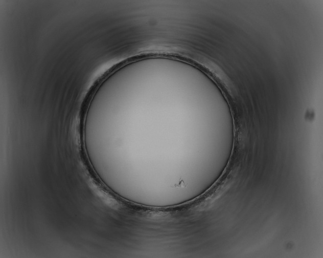 X0000101181030200807181443