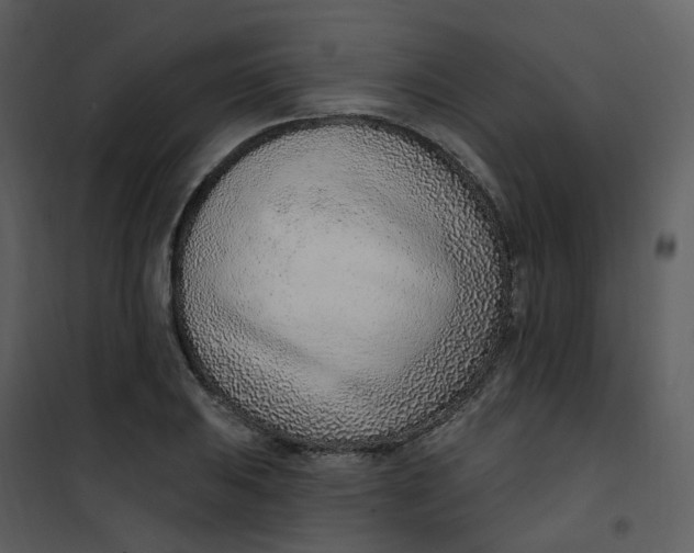 X0000101181031200807181443