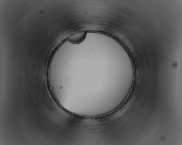 X0000101181033200807181443