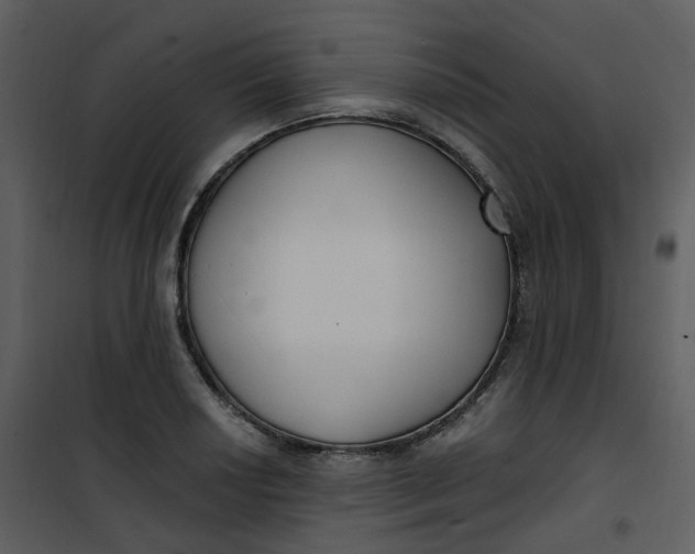 X0000101181034200807181443