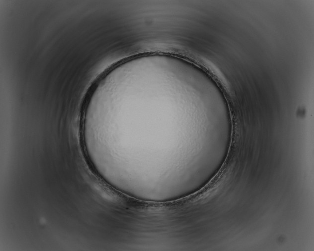 X0000101181035200807181443