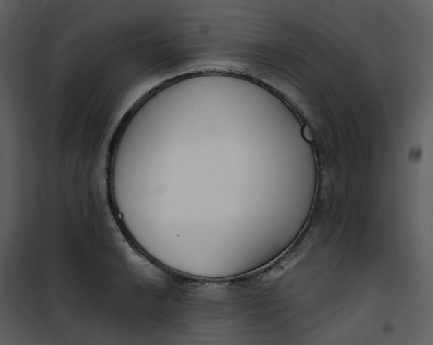 X0000101181038200807181443