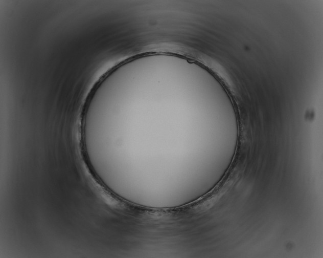 X0000101181040200807181443