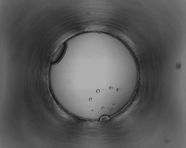 X0000101181041200807181443