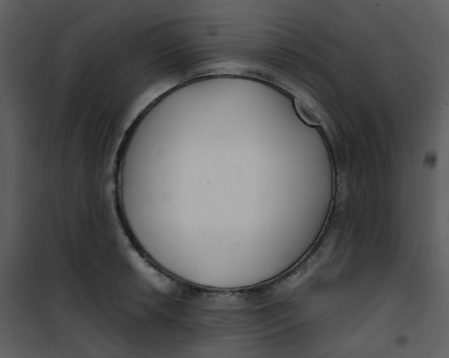 X0000101181042200807181443