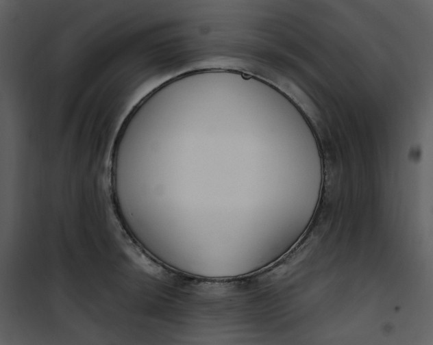 X0000101181044200807181443