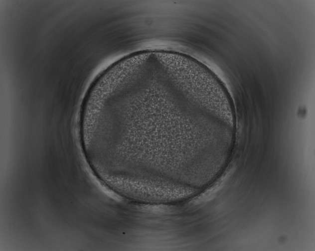 X0000101181045200807181443