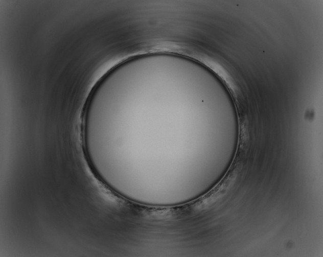 X0000101181047200807181443