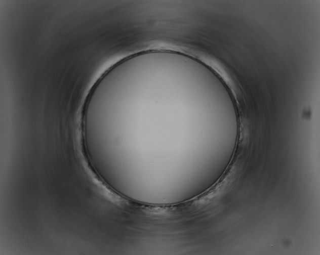 X0000101181048200807181443