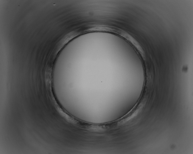 X0000101181049200807181443