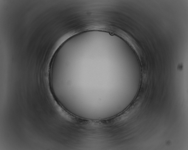 X0000101181050200807181443