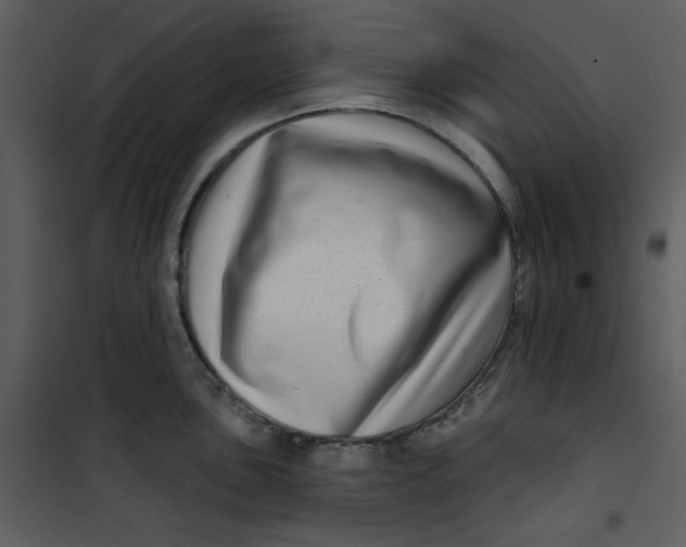 X0000101181051200807181443