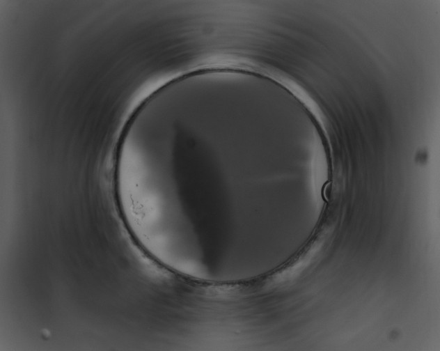 X0000101181053200807181443