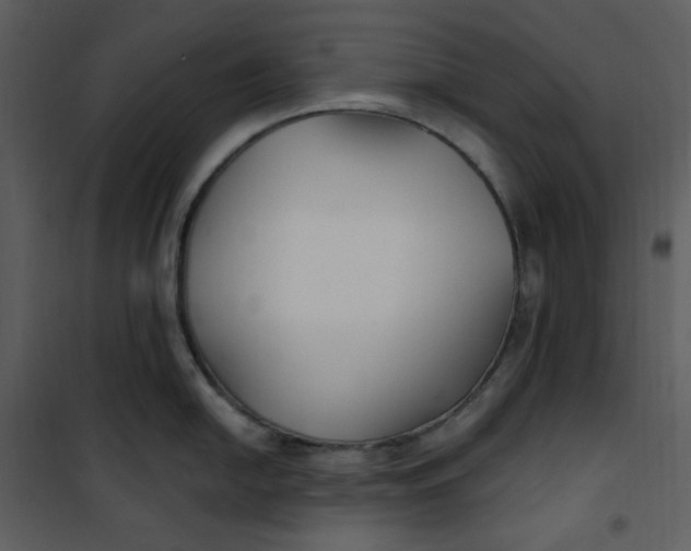 X0000101181054200807181443