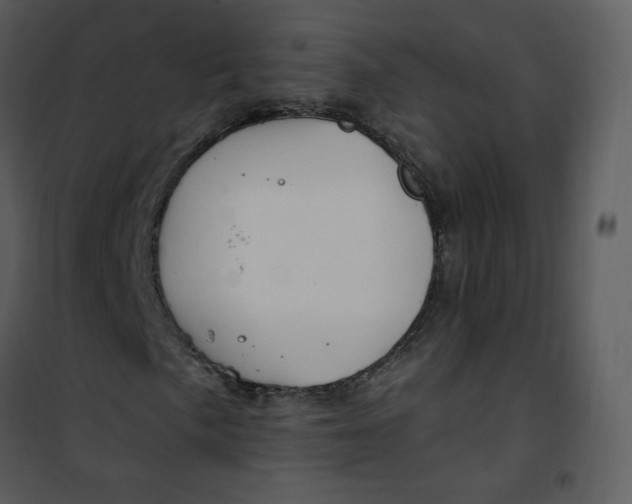 X0000101181057200807181442