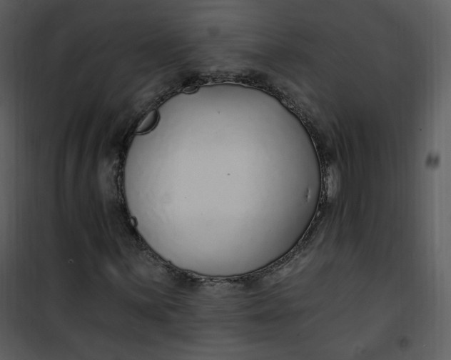 X0000101181059200807181442