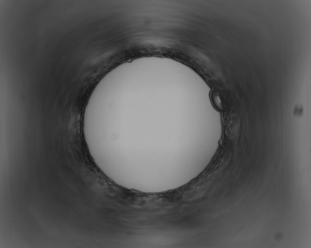 X0000101181061200807181442