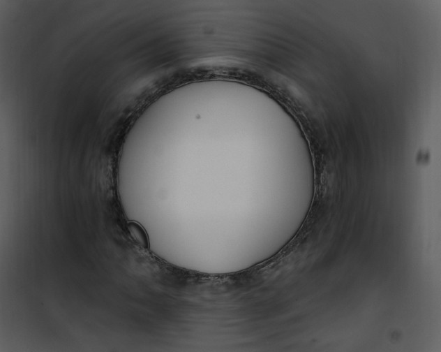 X0000101181062200807181442