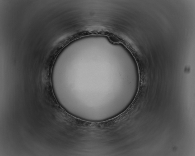 X0000101181063200807181442