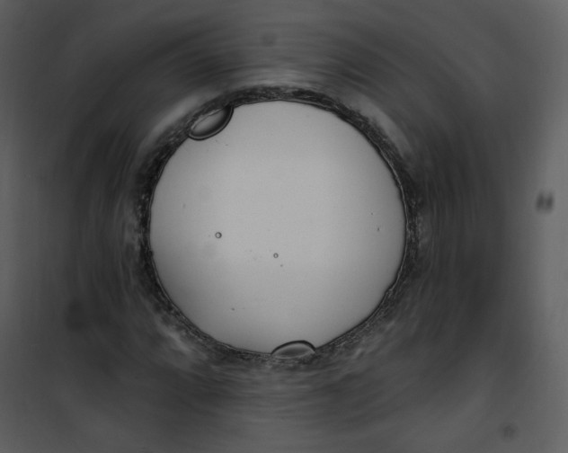 X0000101181064200807181442