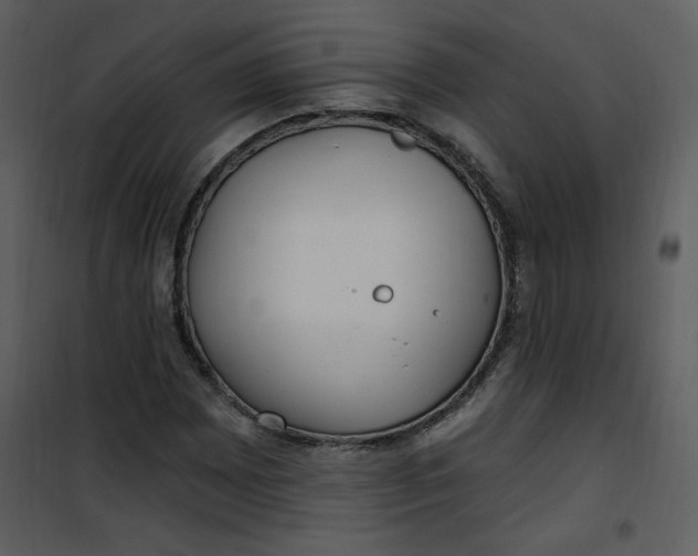 X0000101181065200807181442