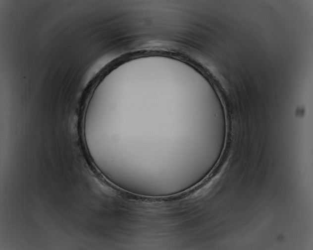 X0000101181066200807181442