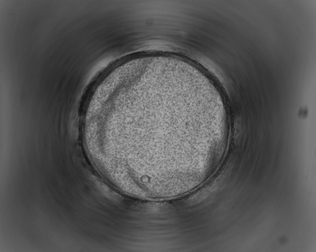 X0000101181067200807181442