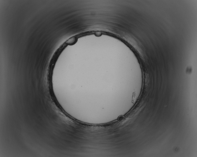 X0000101181068200807181442