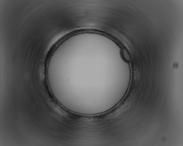 X0000101181069200807181442