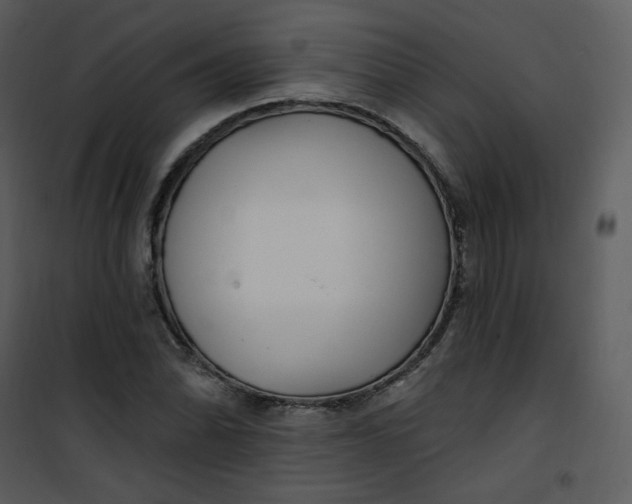 X0000101181070200807181442