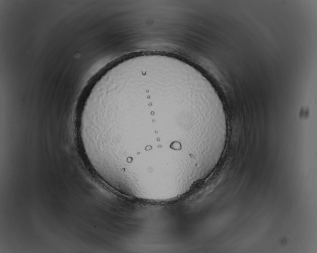 X0000101181071200807181442