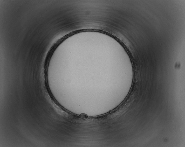 X0000101181072200807181442