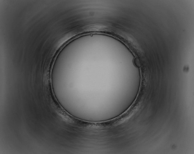 X0000101181073200807181442