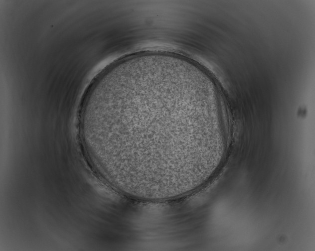 X0000101181074200807181442