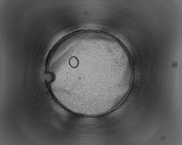 X0000101181075200807181442