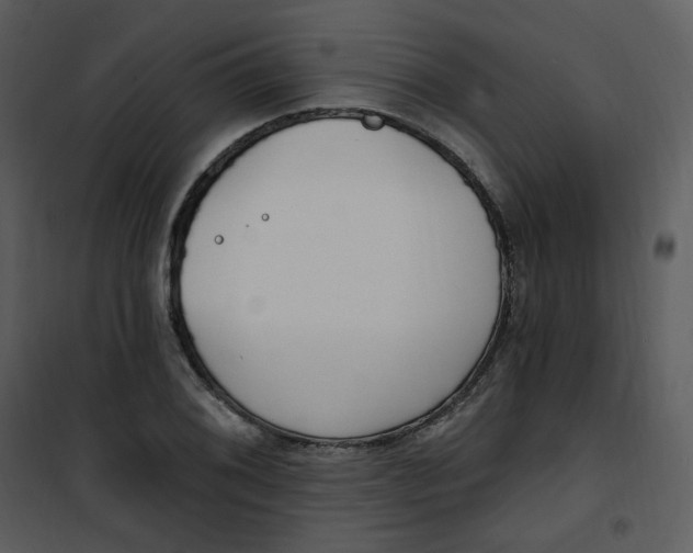 X0000101181076200807181442