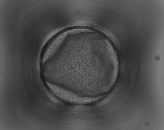 X0000101181077200807181442