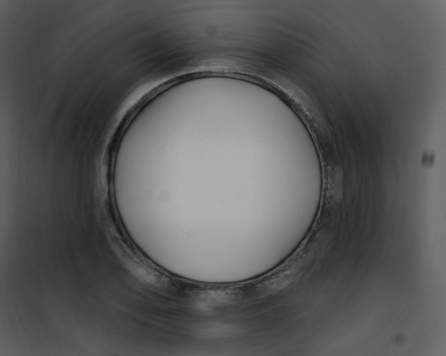 X0000101181078200807181442